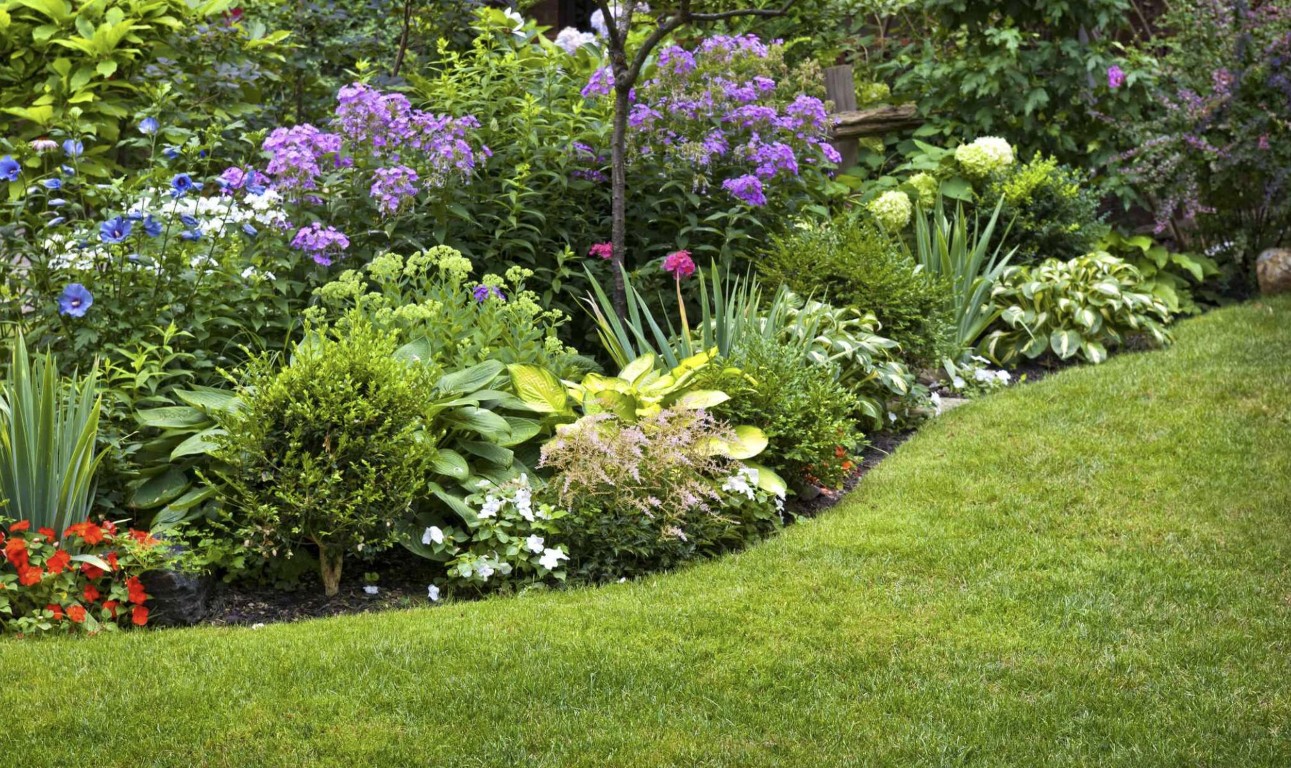 Professional lawn care and maintenance service in Lake Forest showing colorful flower beds and healthy lawn